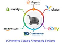 ecommerce-catalog-processing-services-weblancexperts-informatics