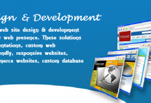 Affordable website designing in Chawri Bazar delhi